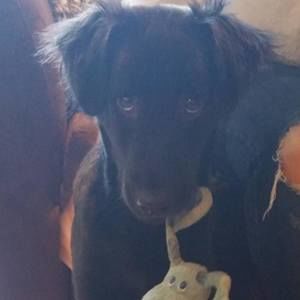 Meet your Posher, Alyson